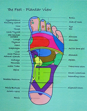 Foot